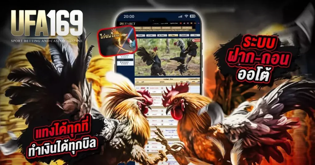 ไก่ชน UFA169